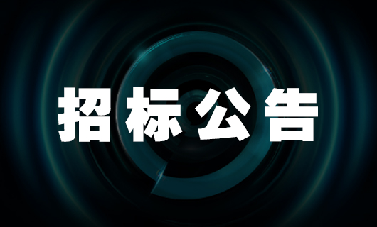 2025年易倍在线客服,社交种草项目-招标公告